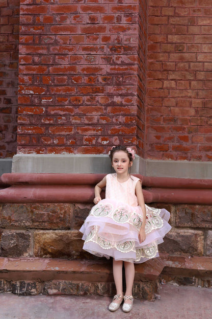 LUX. EMB FROCK TEA PINK 4111